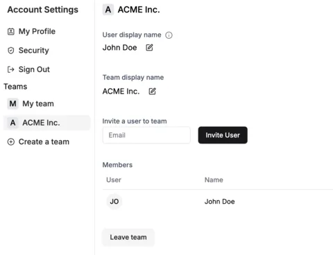 A companion settings screen with profile and team-management controls and sample account data.